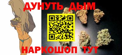 дмт Дубна