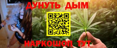 дмт Дубна