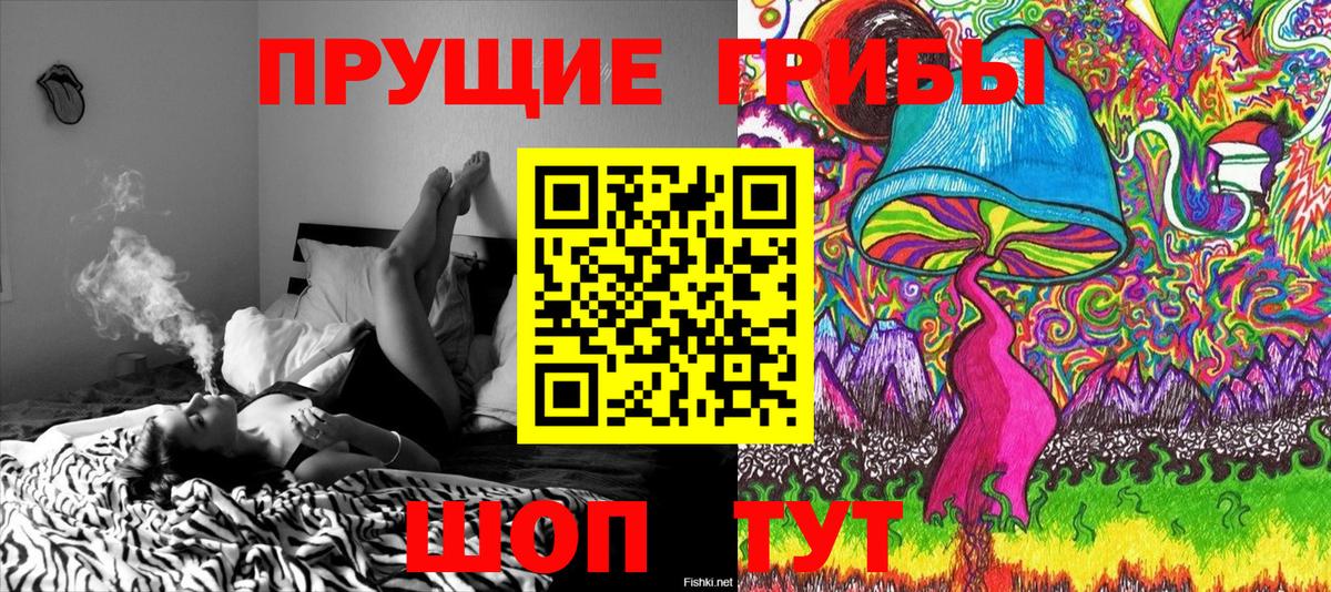 Жуковский  Галлюциногенные грибы Magic Shrooms  Галлюциногенные грибы GOLDEN TEACHER  Вход с VPN 